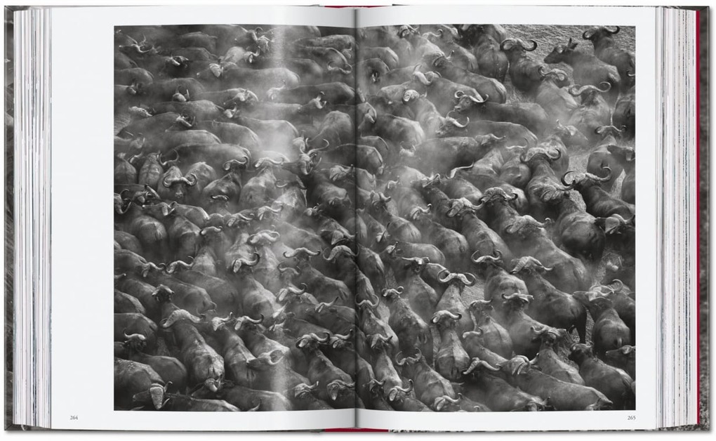 Weitere Ansicht: Sebastião Salgado. Genesis. 45th Ed. | Lélia Wanick Salgado