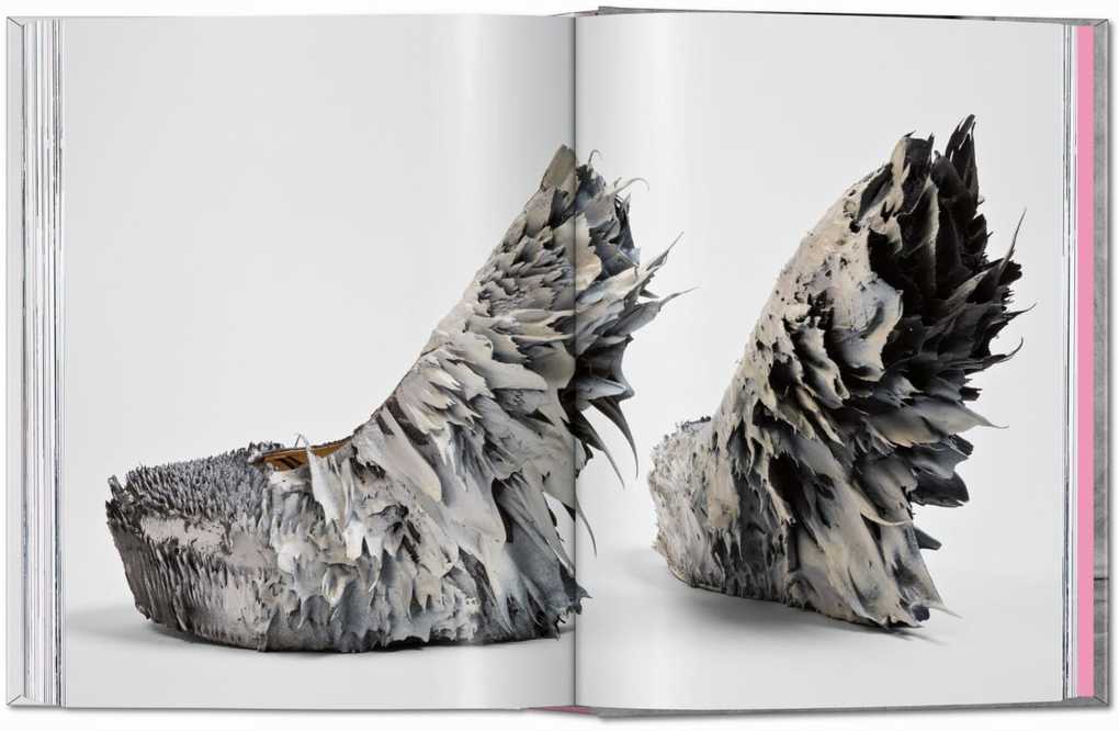 Weitere Ansicht: Shoes A-Z. 45th Ed. | Daphne Guinness