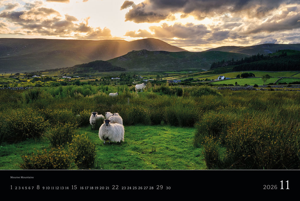 Weitere Ansicht: Irland 2026 | Stefan Schnebelt