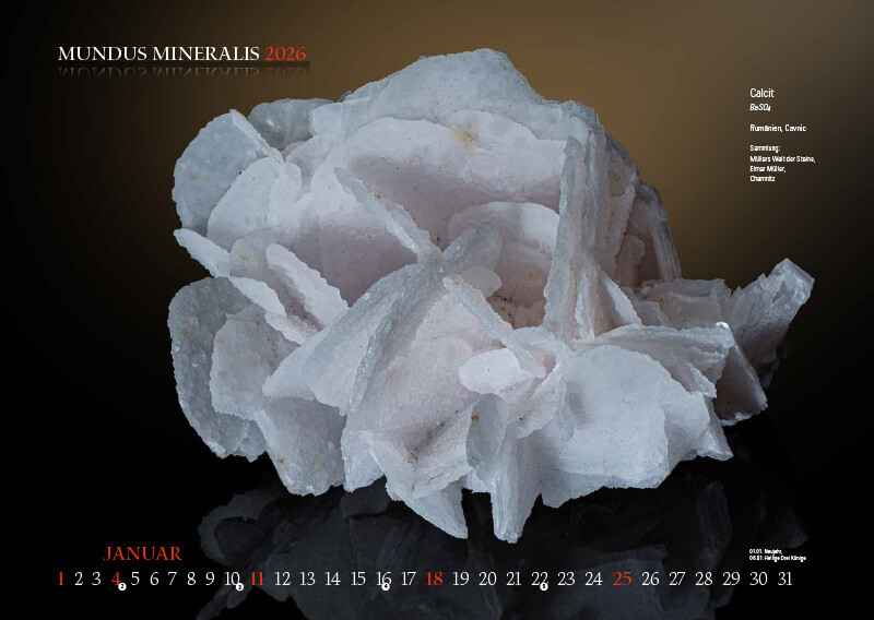 Weitere Ansicht: MUNDUS MINERALIS 2026 | Jörg Neubert