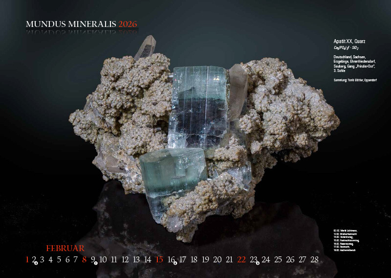 Weitere Ansicht: MUNDUS MINERALIS 2026 | Jörg Neubert