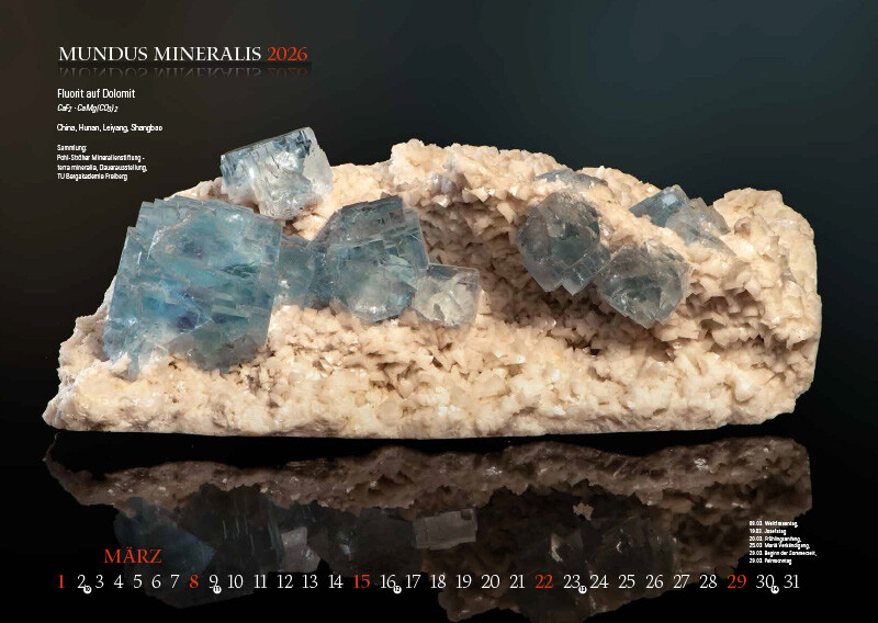 Weitere Ansicht: MUNDUS MINERALIS 2026 | Jörg Neubert