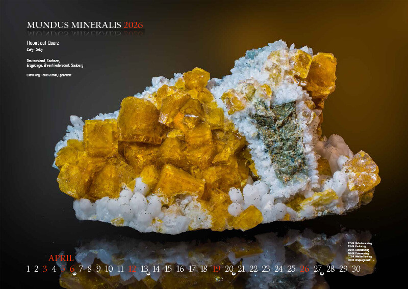 Weitere Ansicht: MUNDUS MINERALIS 2026 | Jörg Neubert