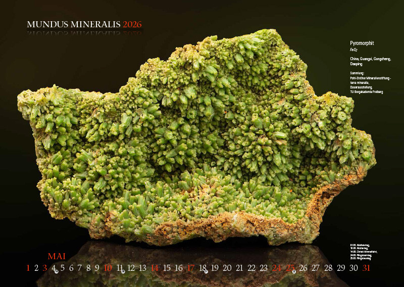 Weitere Ansicht: MUNDUS MINERALIS 2026 | Jörg Neubert
