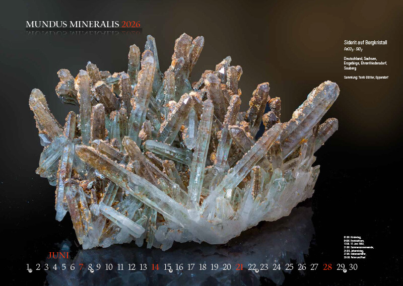 Weitere Ansicht: MUNDUS MINERALIS 2026 | Jörg Neubert