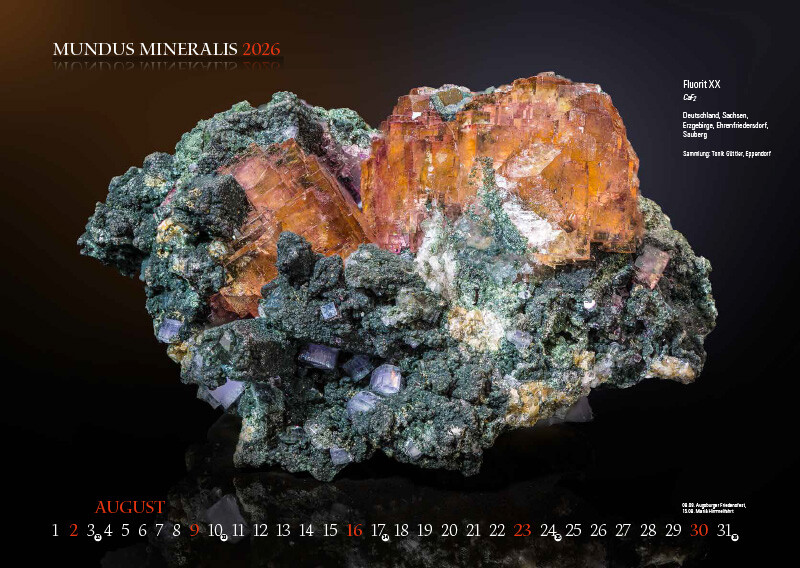 Weitere Ansicht: MUNDUS MINERALIS 2026 | Jörg Neubert