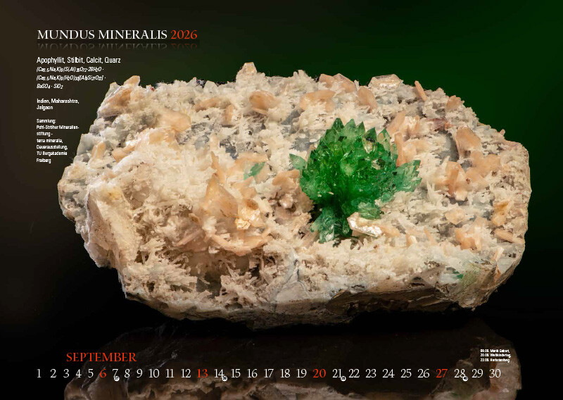 Weitere Ansicht: MUNDUS MINERALIS 2026 | Jörg Neubert