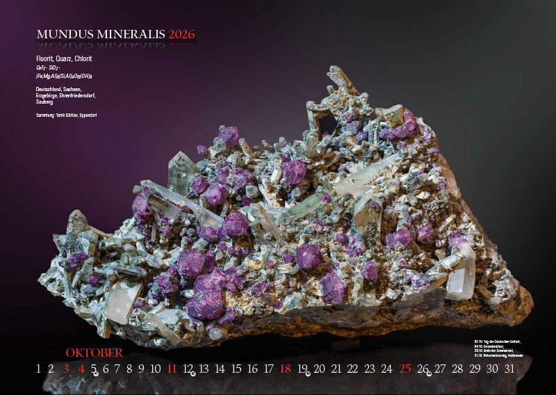 Weitere Ansicht: MUNDUS MINERALIS 2026 | Jörg Neubert