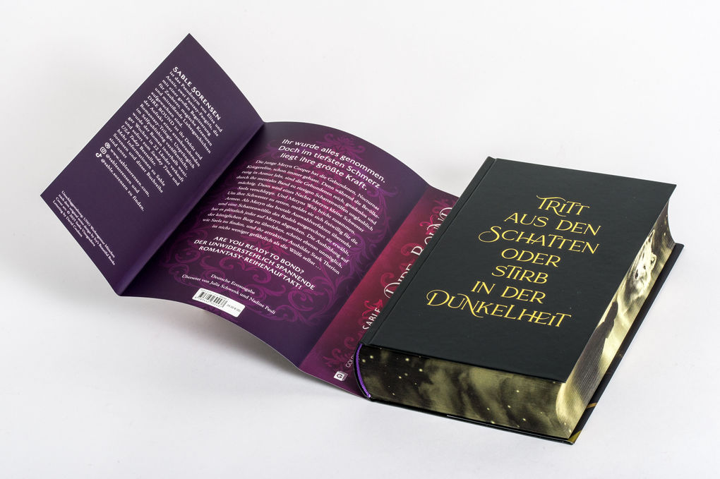 Weitere Ansicht: Dire Bound | Sable Sorensen