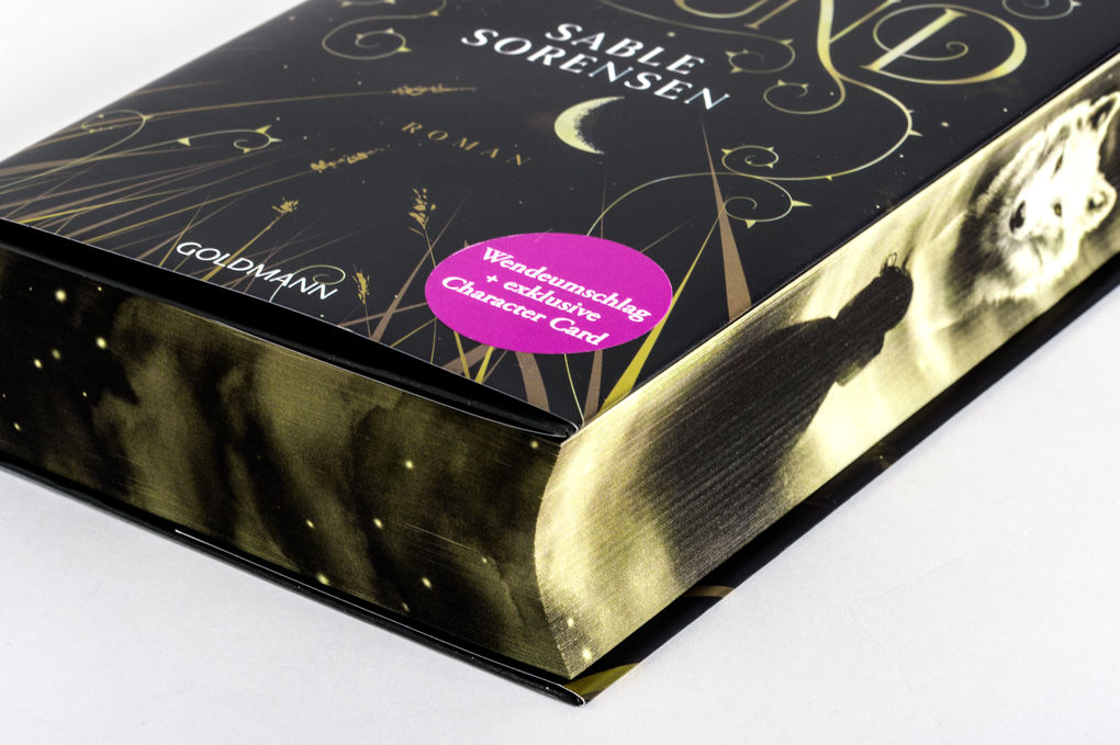 Weitere Ansicht: Dire Bound | Sable Sorensen