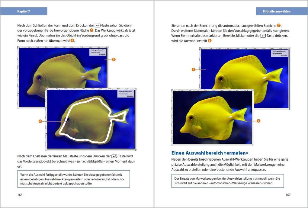 Weitere Ansicht: GIMP 3 - Einstieg und Praxis | Michael Gradias