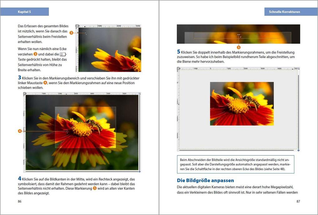 Weitere Ansicht: GIMP 3 - Einstieg und Praxis | Michael Gradias