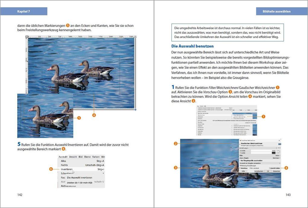 Weitere Ansicht: GIMP 3 - Einstieg und Praxis | Michael Gradias