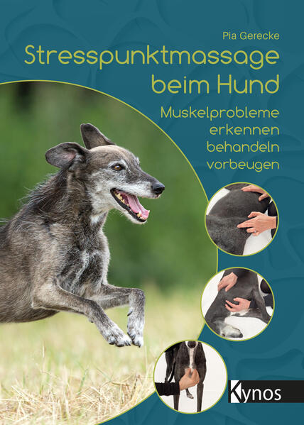 Produktbild: Stresspunktmassage beim Hund | Pia Gerecke
