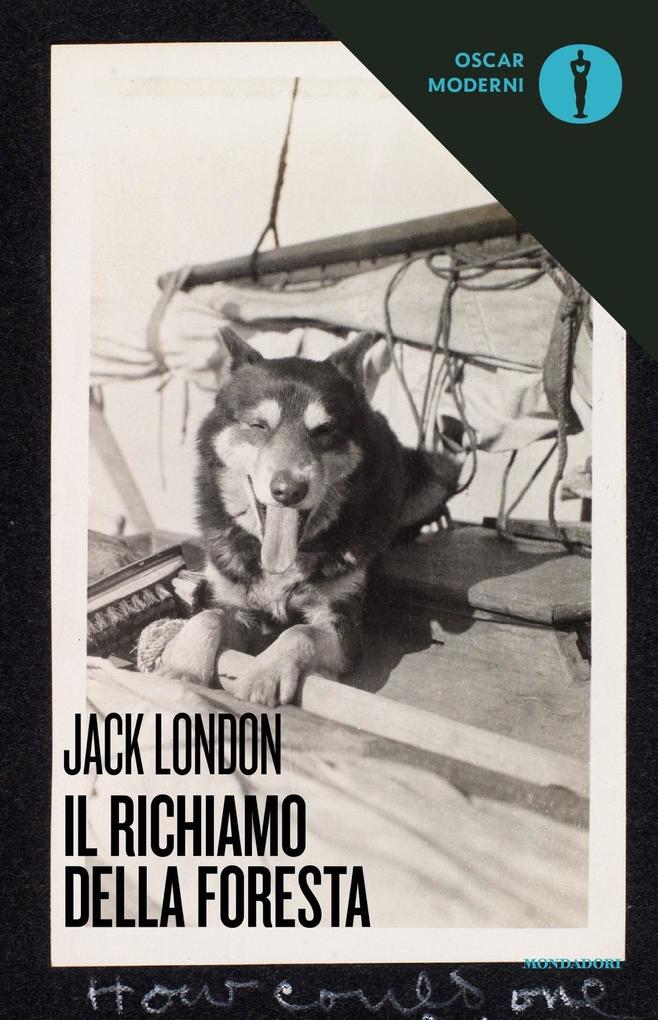 Produktbild: Il richiamo della foresta | Jack London