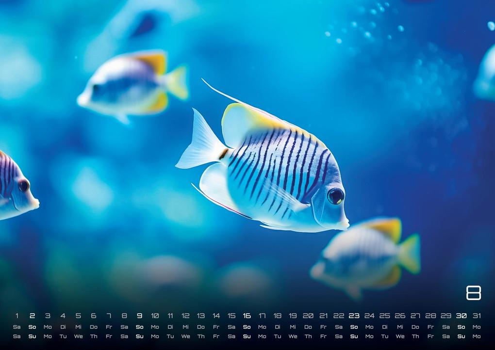 Weitere Ansicht: Sealife - verborgene Tiefen - 2026 - Kalender DIN A3