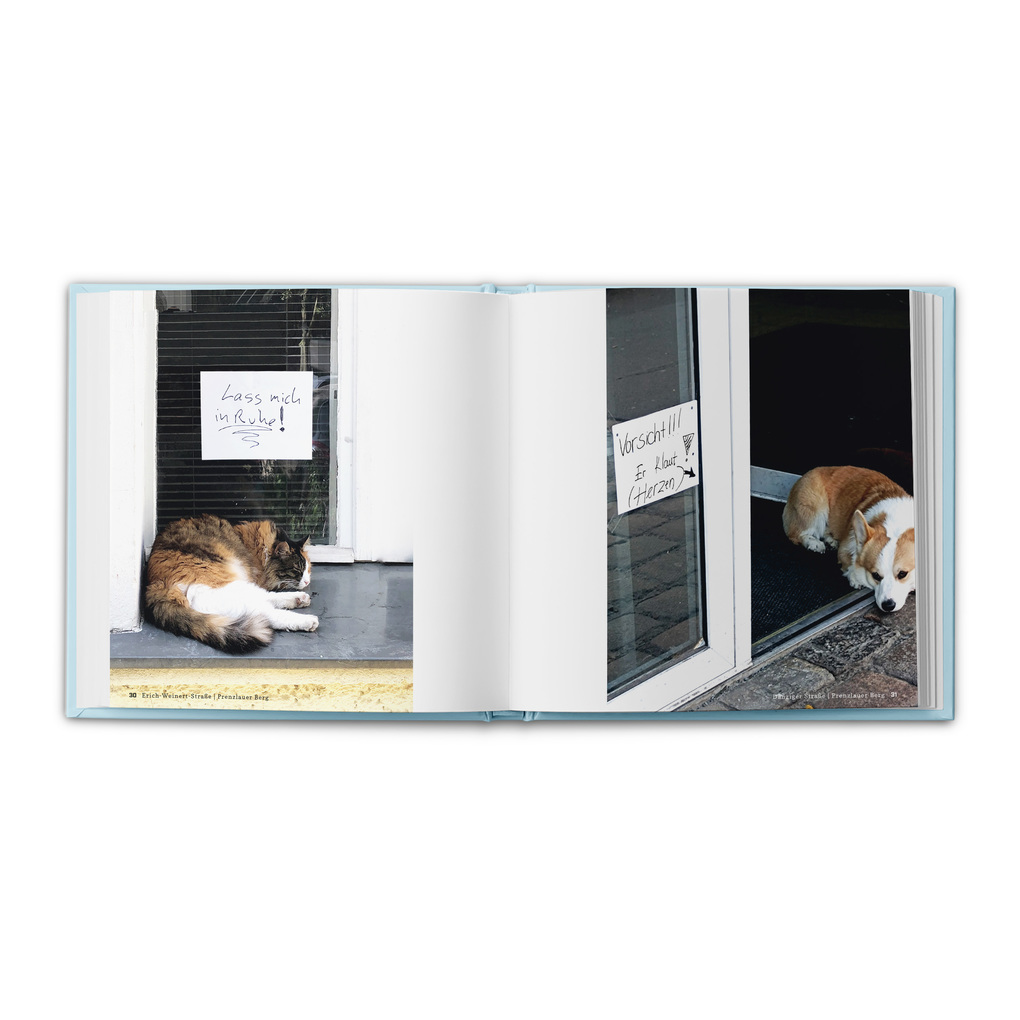 Weitere Ansicht: Neue Notizen aus dem Großstadt-Dschungel