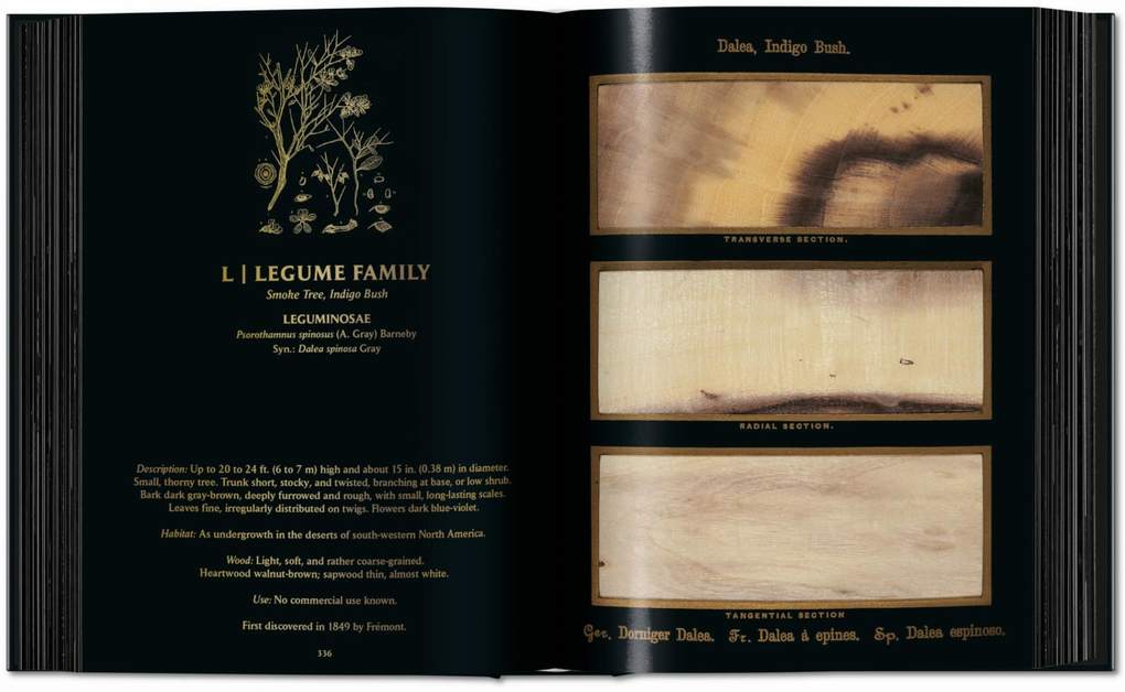 Weitere Ansicht: Romeyn B. Hough | Klaus Ulrich Leistikow