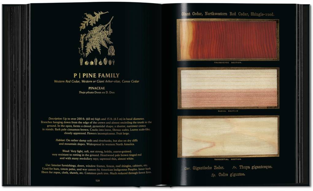 Weitere Ansicht: Romeyn B. Hough | Klaus Ulrich Leistikow