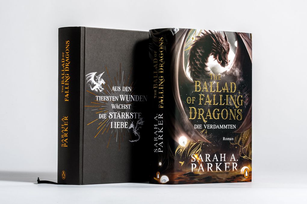 Weitere Ansicht: The Ballad of Falling Dragons | Sarah A. Parker