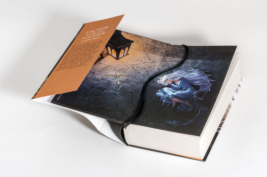 Weitere Ansicht: The Ballad of Falling Dragons | Sarah A. Parker