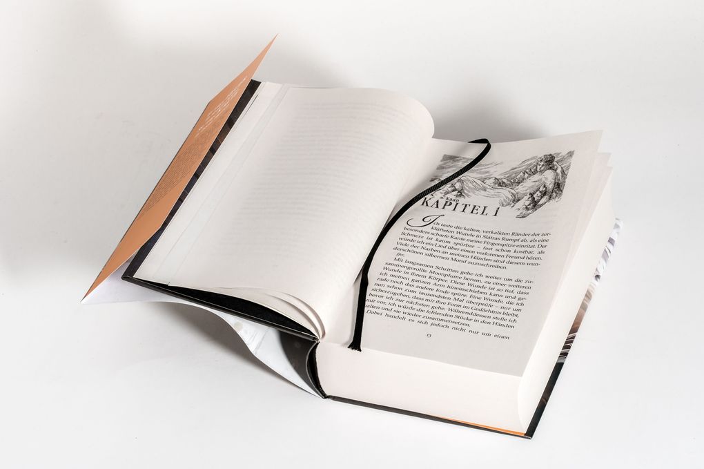 Weitere Ansicht: The Ballad of Falling Dragons | Sarah A. Parker