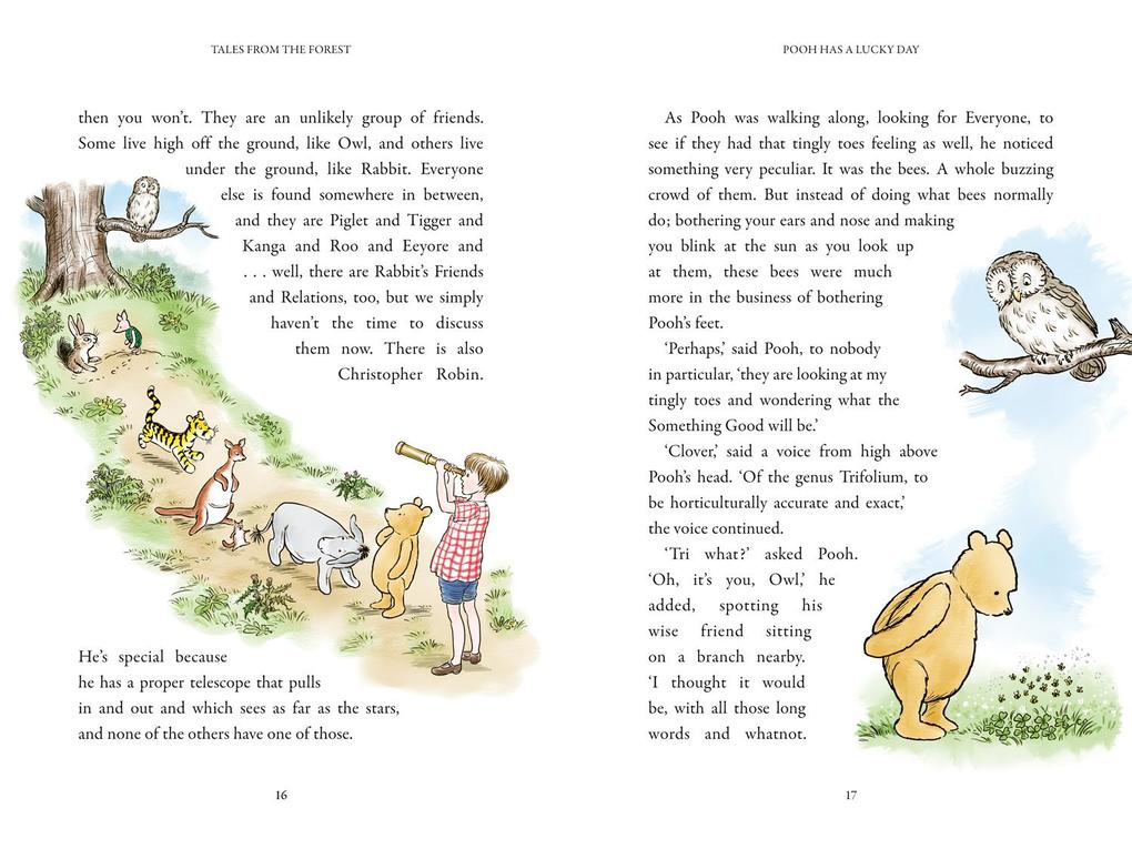 Weitere Ansicht: WINNIE-THE-POOH_WINNIE-THE- PB | Jane Riordan