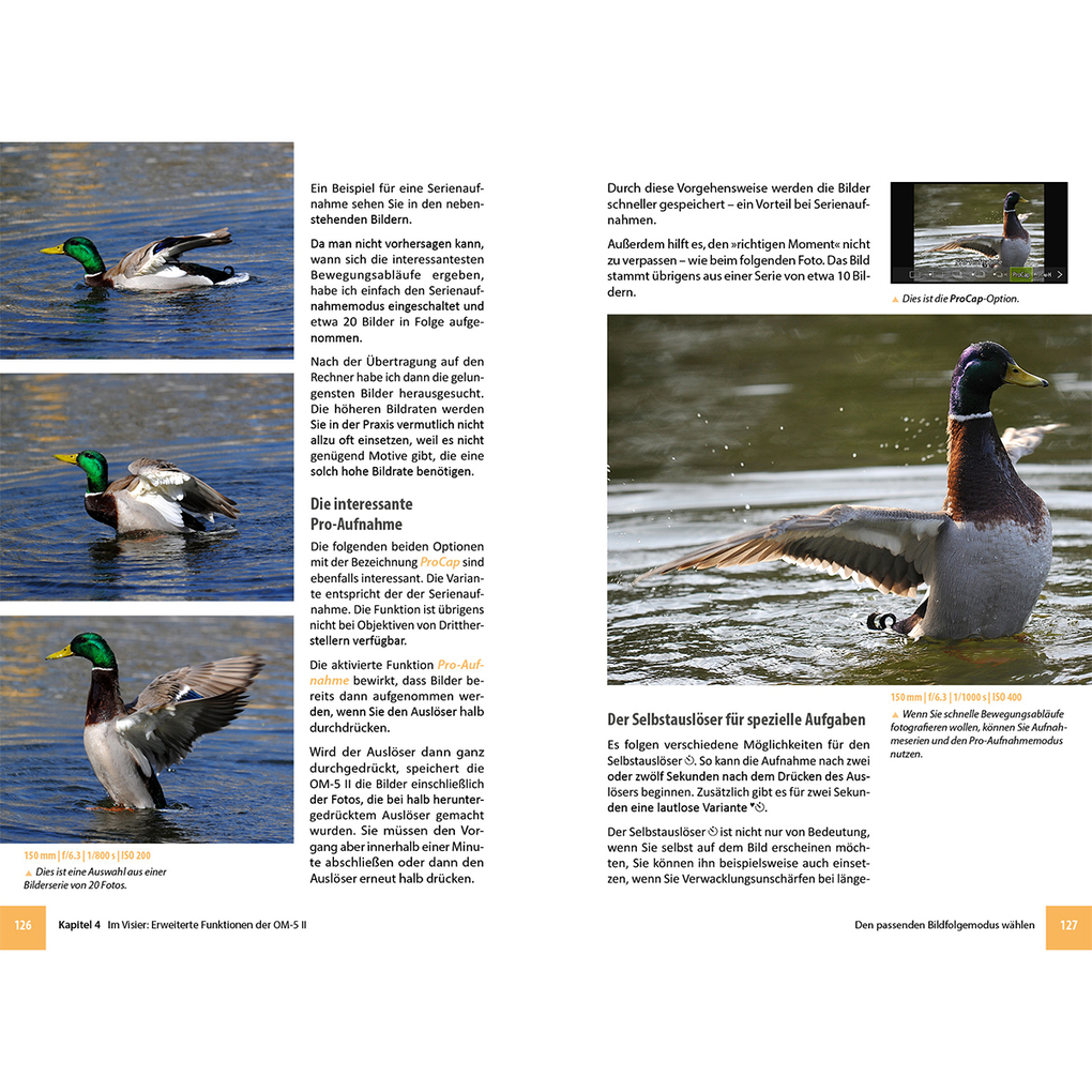 Weitere Ansicht: OM System OM-5 Mark II - Das umfangreiche Praxisbuch zu Ihrer Kamera | Michael Gradias