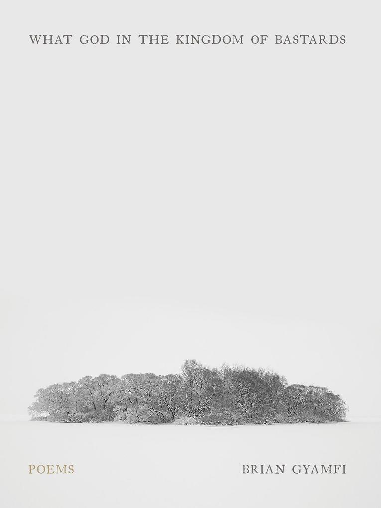 Produktbild: What God in the Kingdom of Bastards | Brian Gyamfi