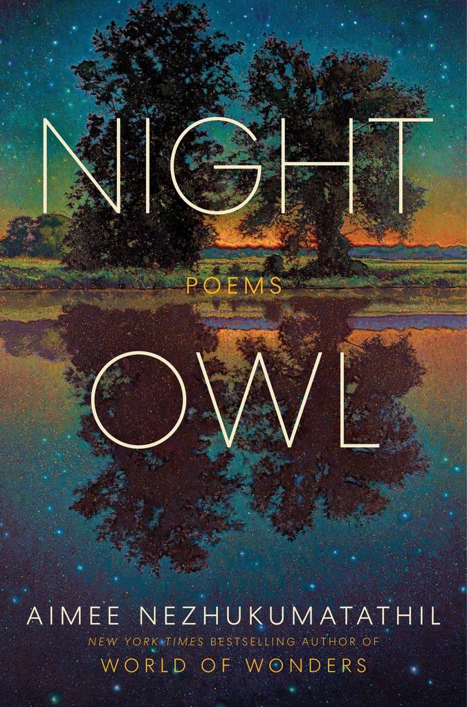 Produktbild: Night Owl | Aimee Nezhukumatathil