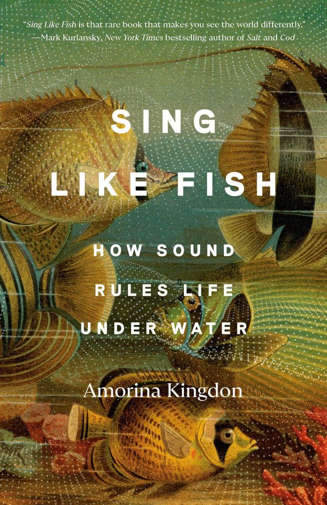 Produktbild: Sing Like Fish | Amorina Kingdon