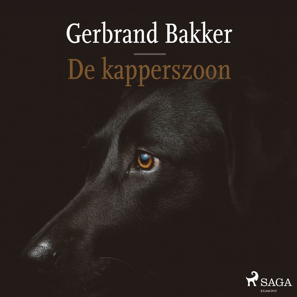 Produktbild: De kapperszoon | Gerbrand Bakker