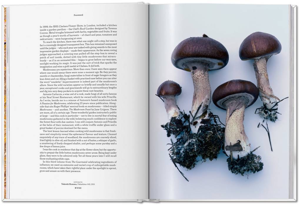 Weitere Ansicht: The Gourmand's Mushroom | The Gourmand