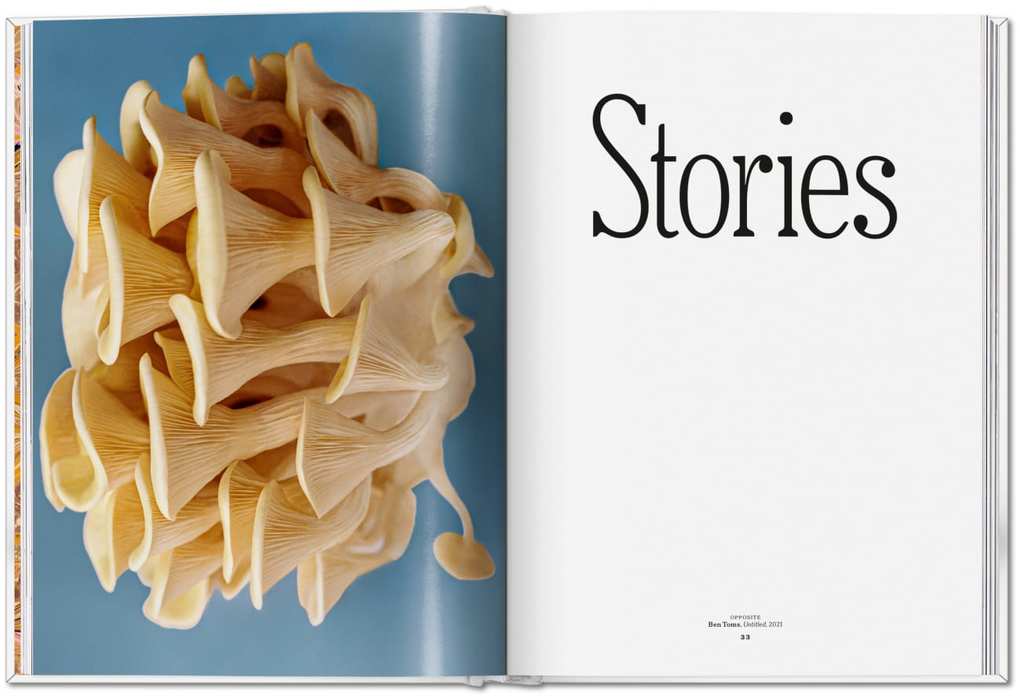 Weitere Ansicht: The Gourmand's Mushroom | The Gourmand