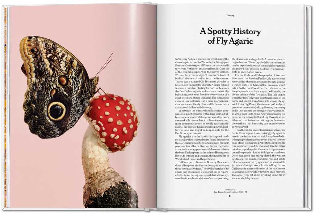 Weitere Ansicht: The Gourmand's Mushroom | The Gourmand