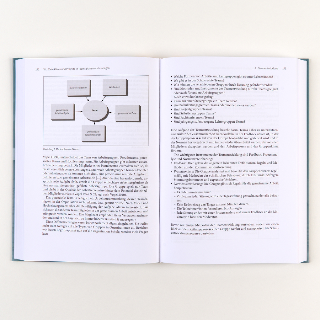 Weitere Ansicht: Handbuch Schulentwicklung: Beratung und Begleitung