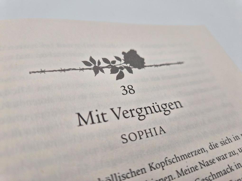 Weitere Ansicht: Darkest Reign - Im Schatten des Jägers | Laura Labas