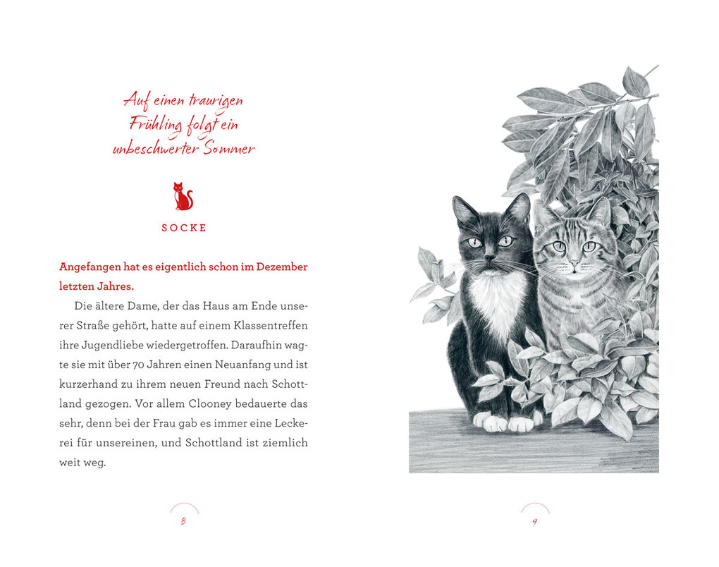 Weitere Ansicht: Vier Pfoten für ein Wunder | Heike Wolpert