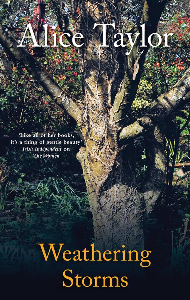 Produktbild: Weathering Storms | Alice Taylor
