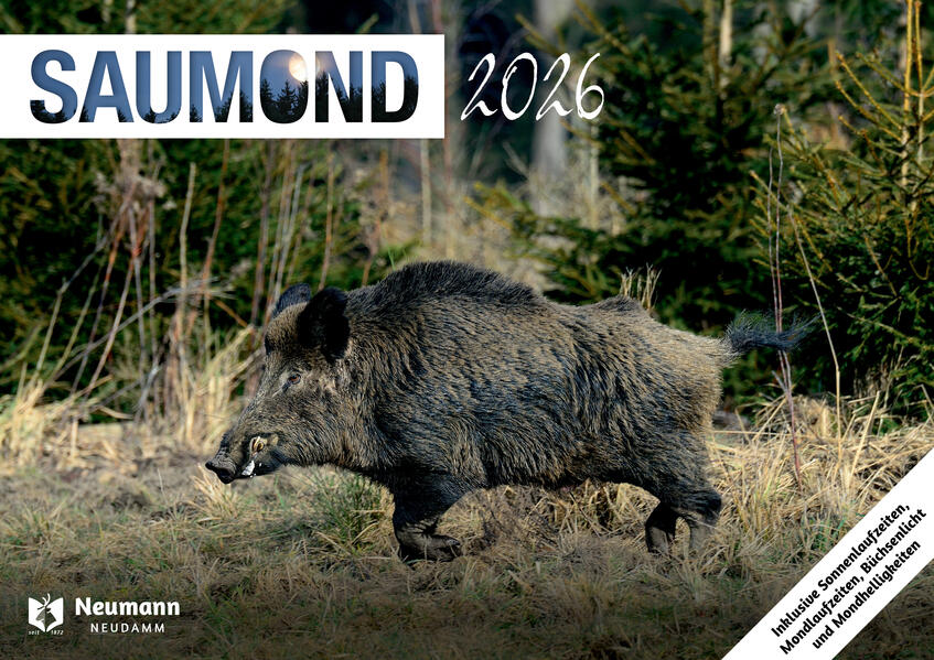 Produktbild: Saumond 2026