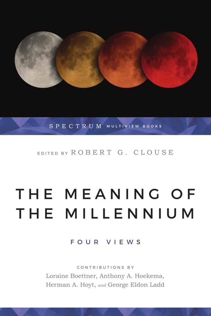 Produktbild: The Meaning of the Millennium