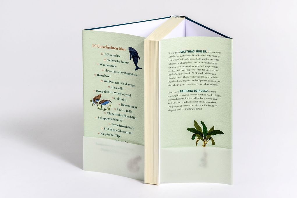 Weitere Ansicht: Wir dachten, wir könnten fliegen