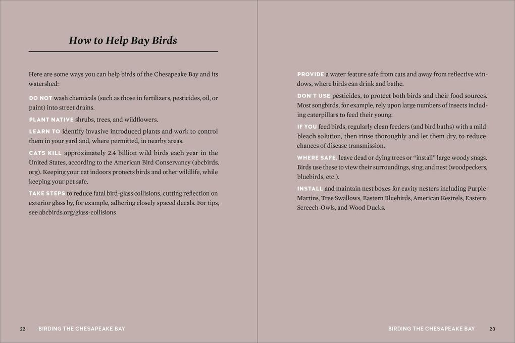 Weitere Ansicht: Birds of the Chesapeake Bay | Howard Youth, Gemma Radko