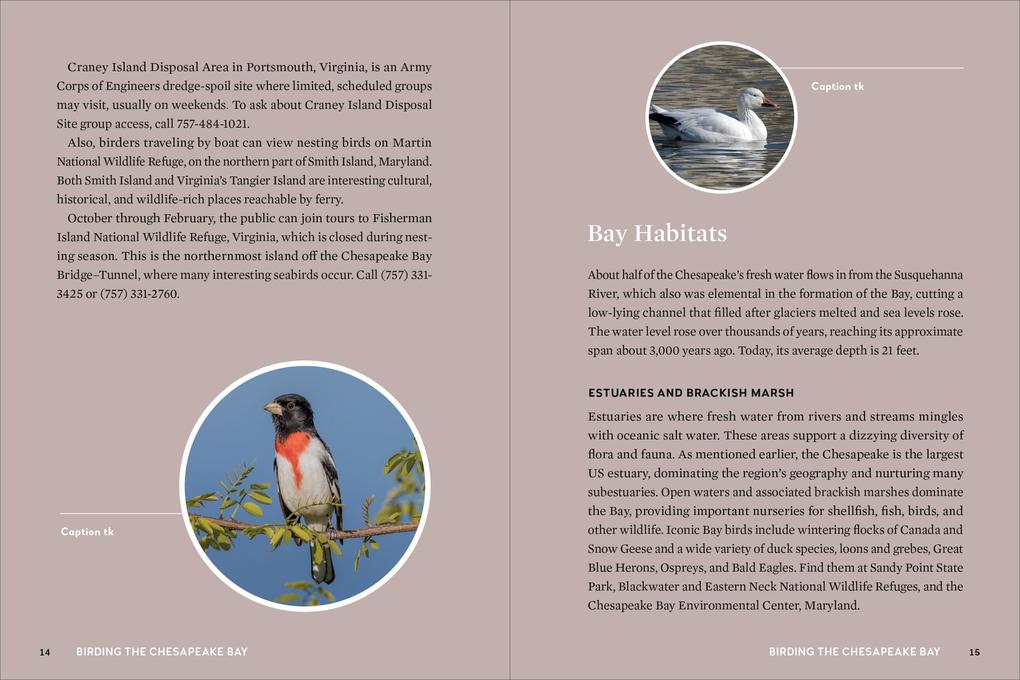 Weitere Ansicht: Birds of the Chesapeake Bay | Howard Youth, Gemma Radko