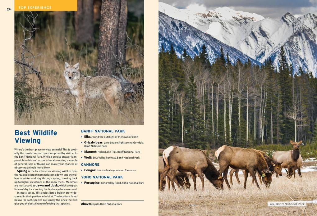 Weitere Ansicht: Moon Banff National Park (Fifth Edition) | Andrew Hempstead