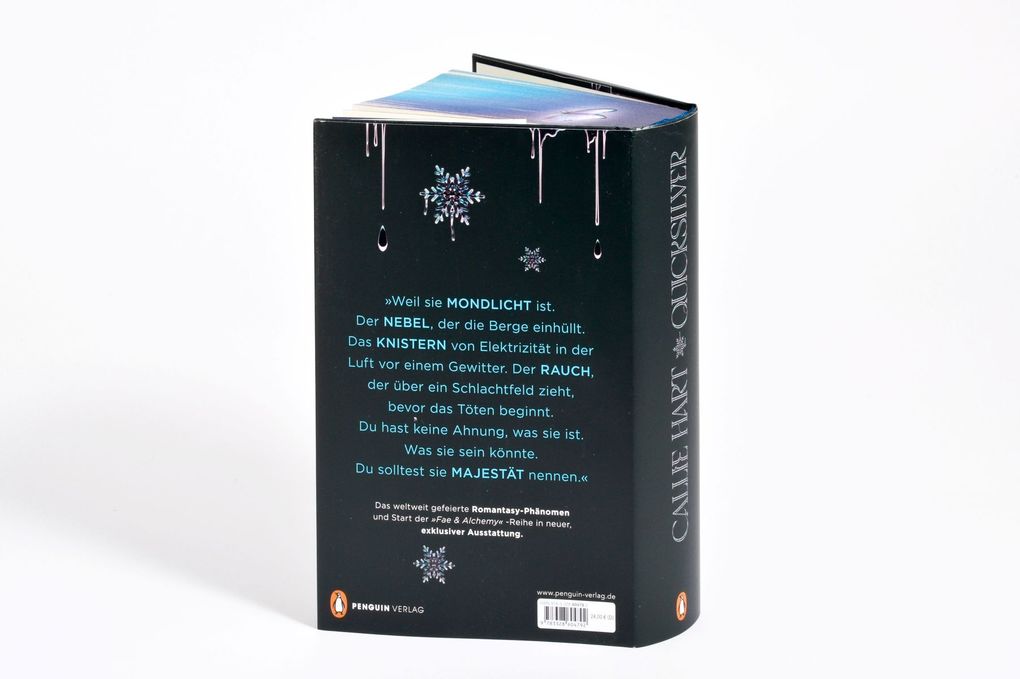 Weitere Ansicht: Quicksilver - Tochter des Silbers. Gefangener der Schatten | Callie Hart