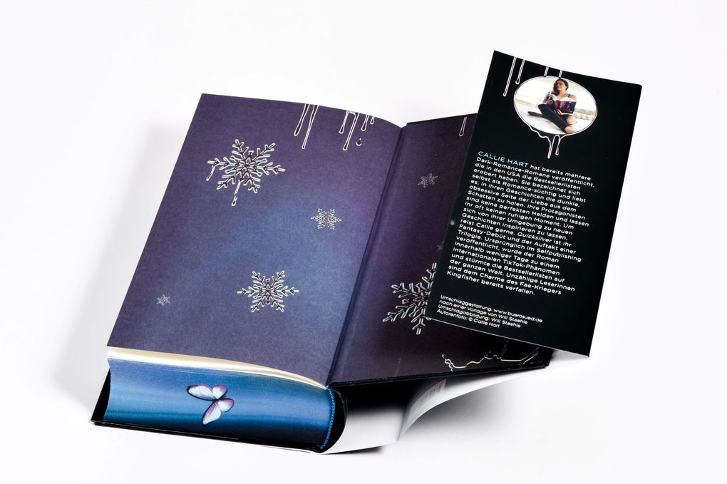 Weitere Ansicht: Quicksilver - Tochter des Silbers. Gefangener der Schatten | Callie Hart