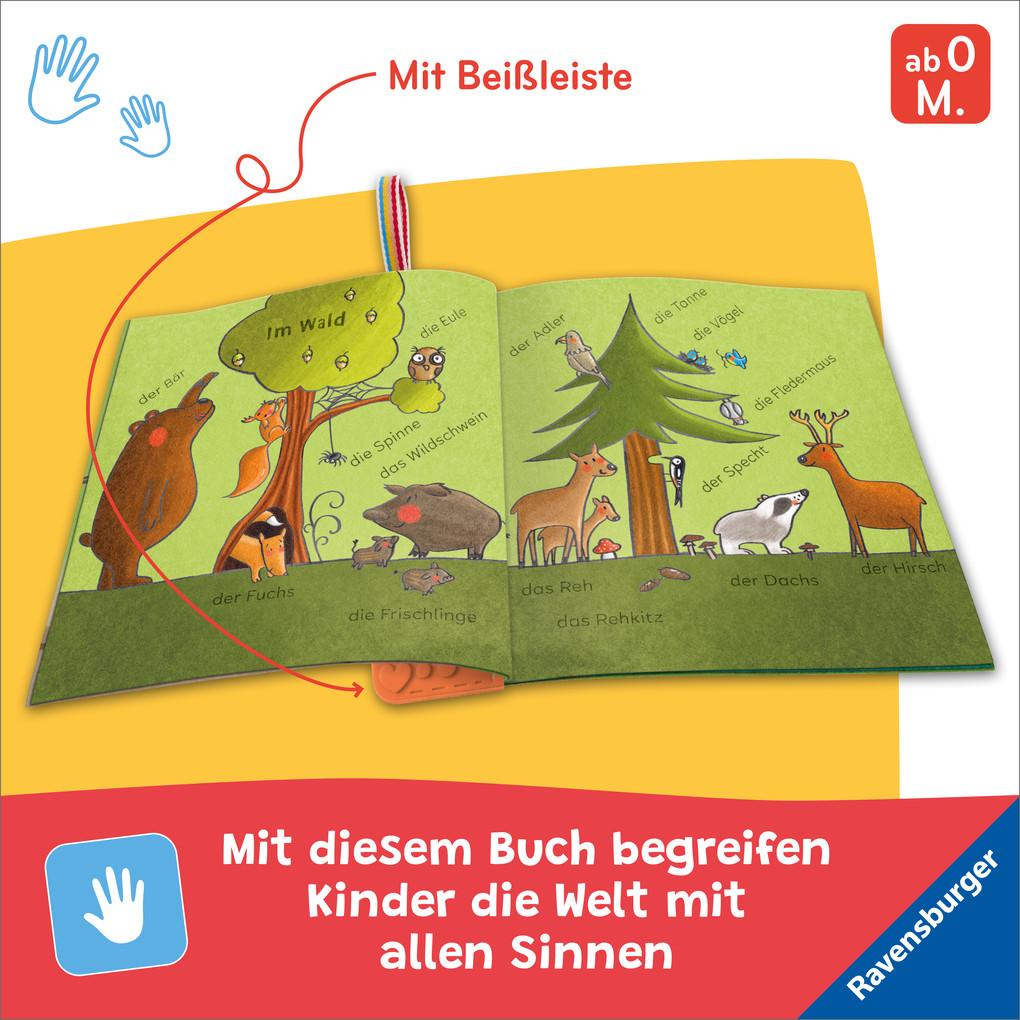 Weitere Ansicht: Mein Knuddel-Knautsch-Buch: flip&pop. Meine Tiere