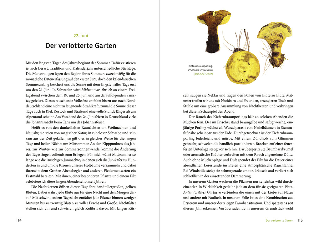 Weitere Ansicht: Pilzen begegnen | Lutz Jürgens, Hans Manhart