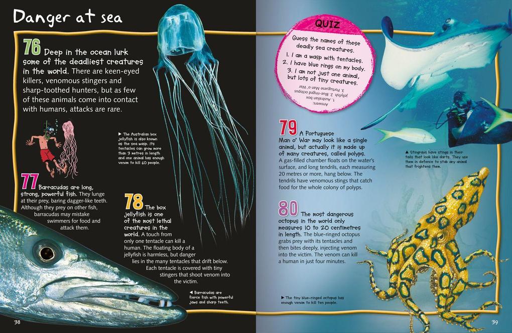 Weitere Ansicht: DEADLY CREATURES_100 FACTS PB | Miles Kelly